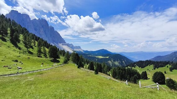 Photo de walrei le long du parcours