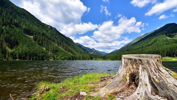 Ingeringsee ein traumhafter Ausgangspunkt für Wanderungen - und Endpunkt für eine Mountainbiketouren in die Gaal