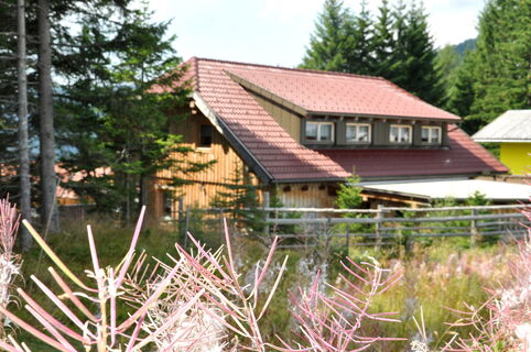 Haus Petra 2