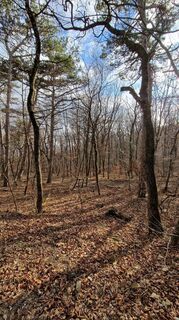 Photo de EP87 le long du parcours