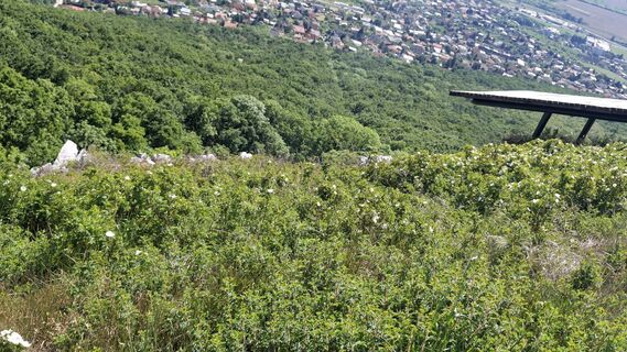 Fotografia z Petr Merta 1 na trase