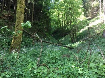 Naturschutzgebiet