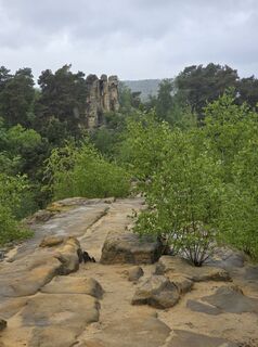 Photo de Martina Gerneck le long du parcours