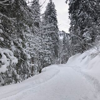 Winterwanderweg im Bärgunttal