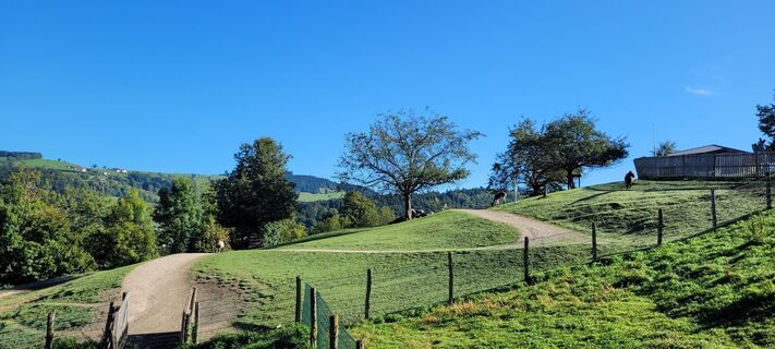 Foto de Nicky a lo largo del recorrido