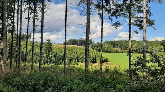 Zdjęcie z Georg Meisterjahn wzdłuż trasy