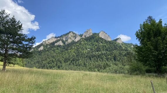 Karte