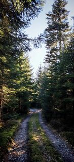 Foto von ReginaSt entlang der Tour