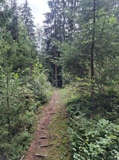 Photo de Karl Thies le long du parcours