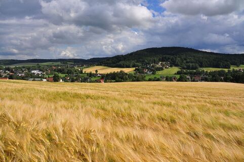 Blick zum Taubenberg