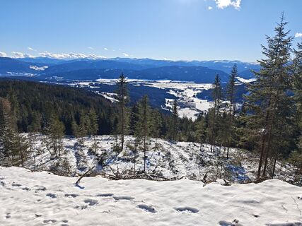 Fotografie z gp1964 na trase