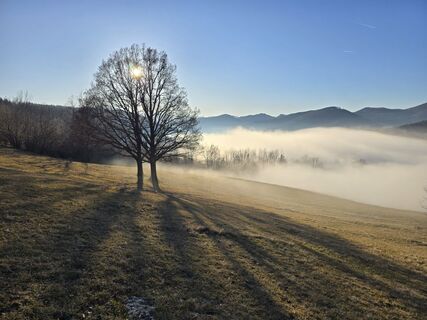 Fotografia z TwilightTea na trase