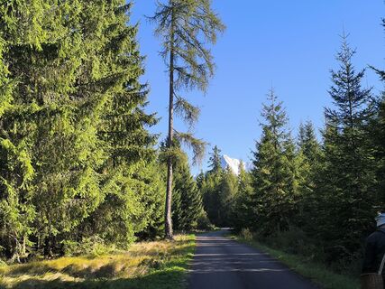 Foto von Igor Sulčan entlang der Tour