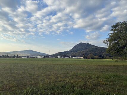 Foto von Wanderelch entlang der Tour