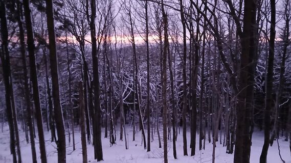 Photo from Fantom RoK along the tour