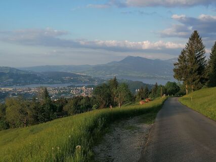 Fotografija s spletne strani luyyy na poti