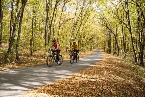 Radfahrer fahren durch den herbstlichen Wald.