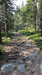 Fotó a Mani S honlapról a túra során
