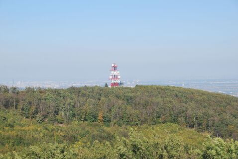 Vierjochkogel mit Sender