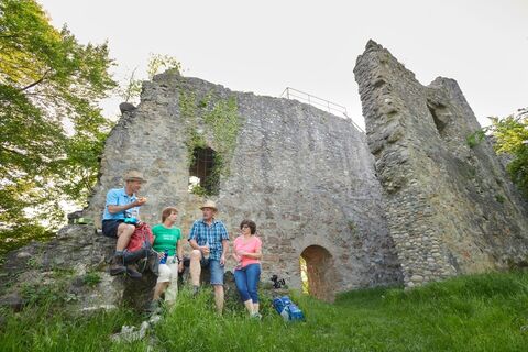 Wanderer auf der Homburg