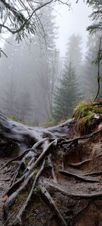 Foto de Sylwiasuchy76 a lo largo del recorrido