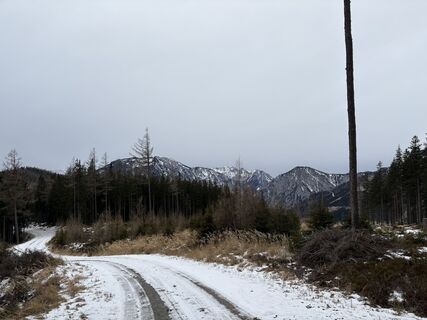 Fotografija s spletne strani Stefan Tesch na poti