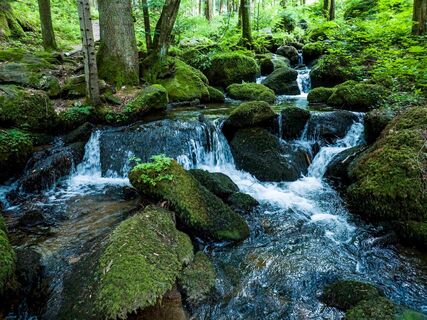 Die romantische Steinbachklamm bei Marbach im Nibelungengau