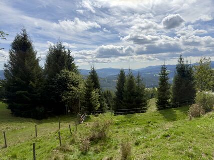 Foto von firebird 93 entlang der Tour