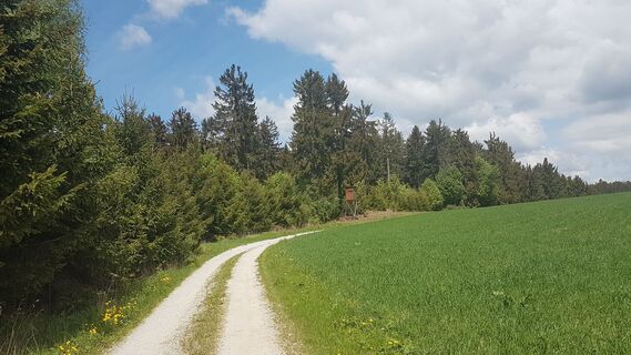 2.0 km Hochstand