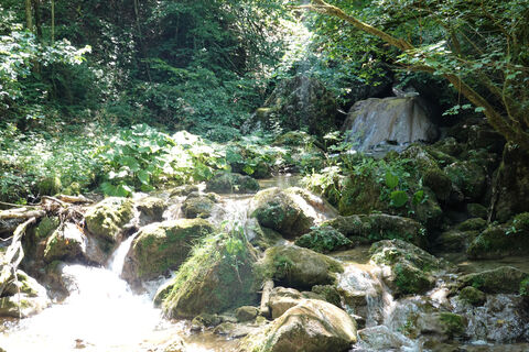 Rinnerberger Bach