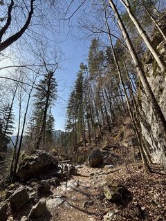 Foto de RS76 a lo largo del recorrido