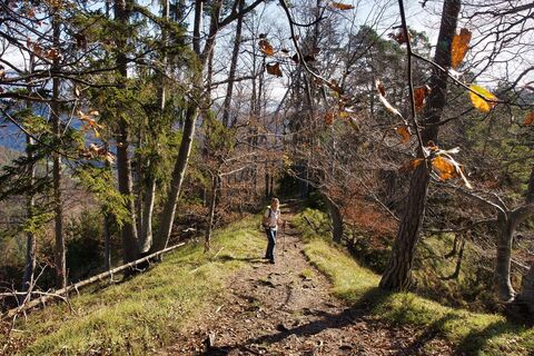 Kaschlsteig