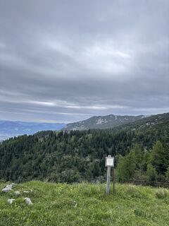 Fotografia z Vasilina Terente na trase