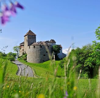 Schloss Vaduz