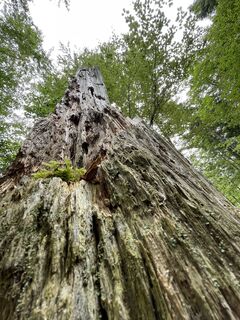Photo de Gerald le long du parcours