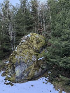 Foto von Florian Leopold Stonig entlang der Tour