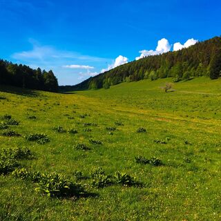 Combe du Cimetière - Col de la Biche - Kämme von Hergues