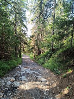 Fotó a Žaneta Schelling honlapról a túra során