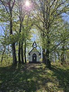 Zdjęcie z Volker Wagener wzdłuż trasy