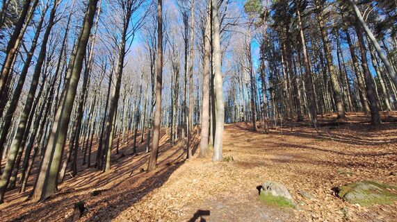 Foto von Regina Fleischmann entlang der Tour