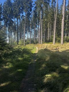 Foto von Robert Zauner entlang der Tour