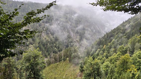 Fotografija s spletne strani Bergtroll na poti
