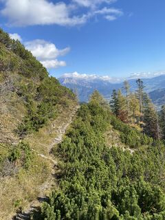 Foto från Sven Krieblin under resans gång