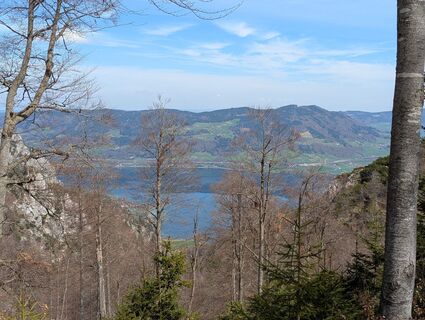 Fotografia z Hiking Hermit na trase