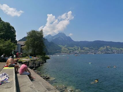 Fotografija s spletne strani luyyy na poti