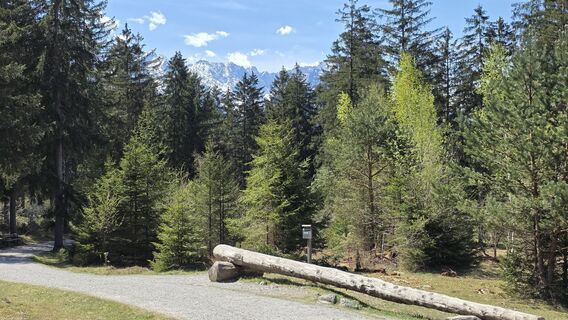 Foto von Artur entlang der Tour