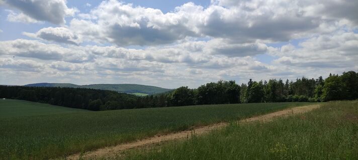 Foto von Fredi Oppel entlang der Tour