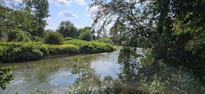 Fotó a garrincha honlapról a túra során