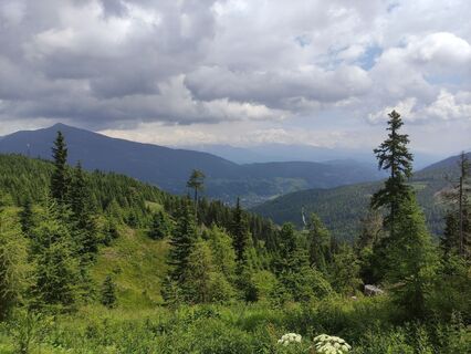 Fotografia z Christian Haßmann na trase