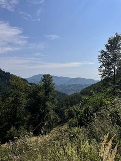 Fotografia z Maximilian Zechner na trase